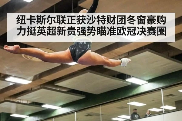 纽卡斯尔联正获沙特财团冬窗豪购力挺英超新贵强势瞄准欧冠决赛圈